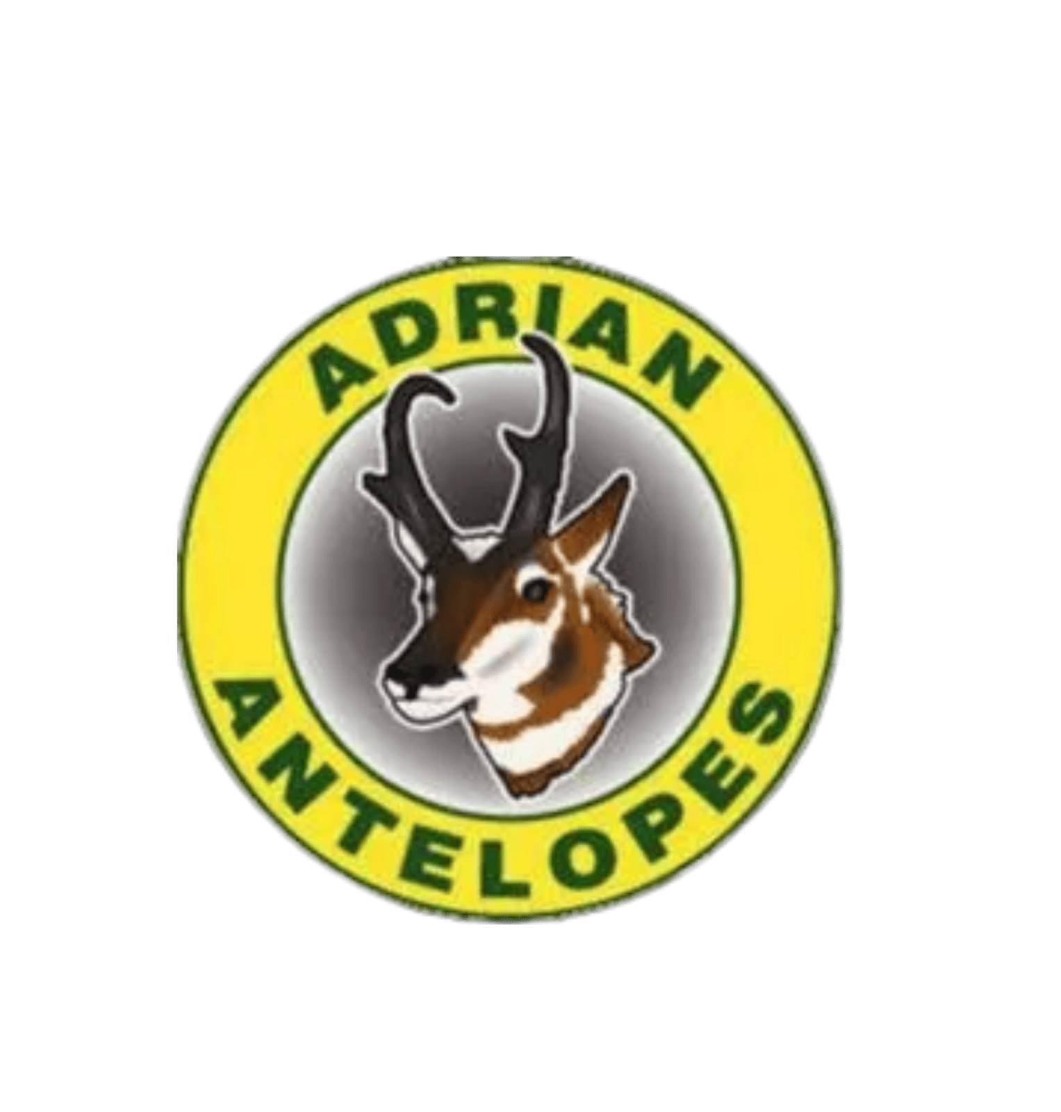 Adrian Antelopes customer of Avidity Solutionz