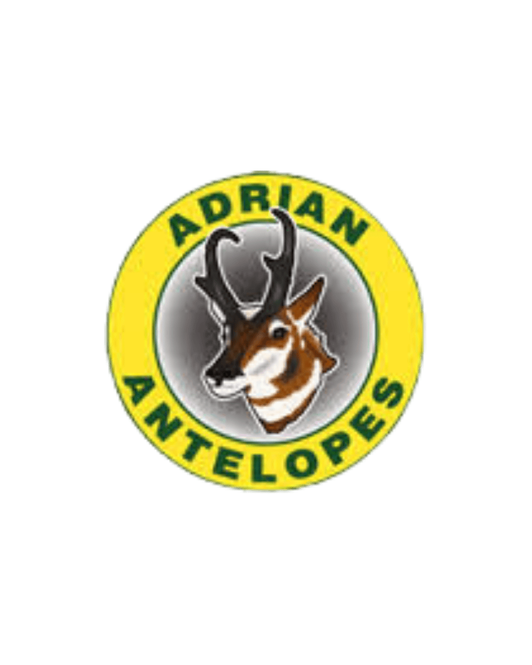 Adrian Antelopes customer of Avidity Solutionz